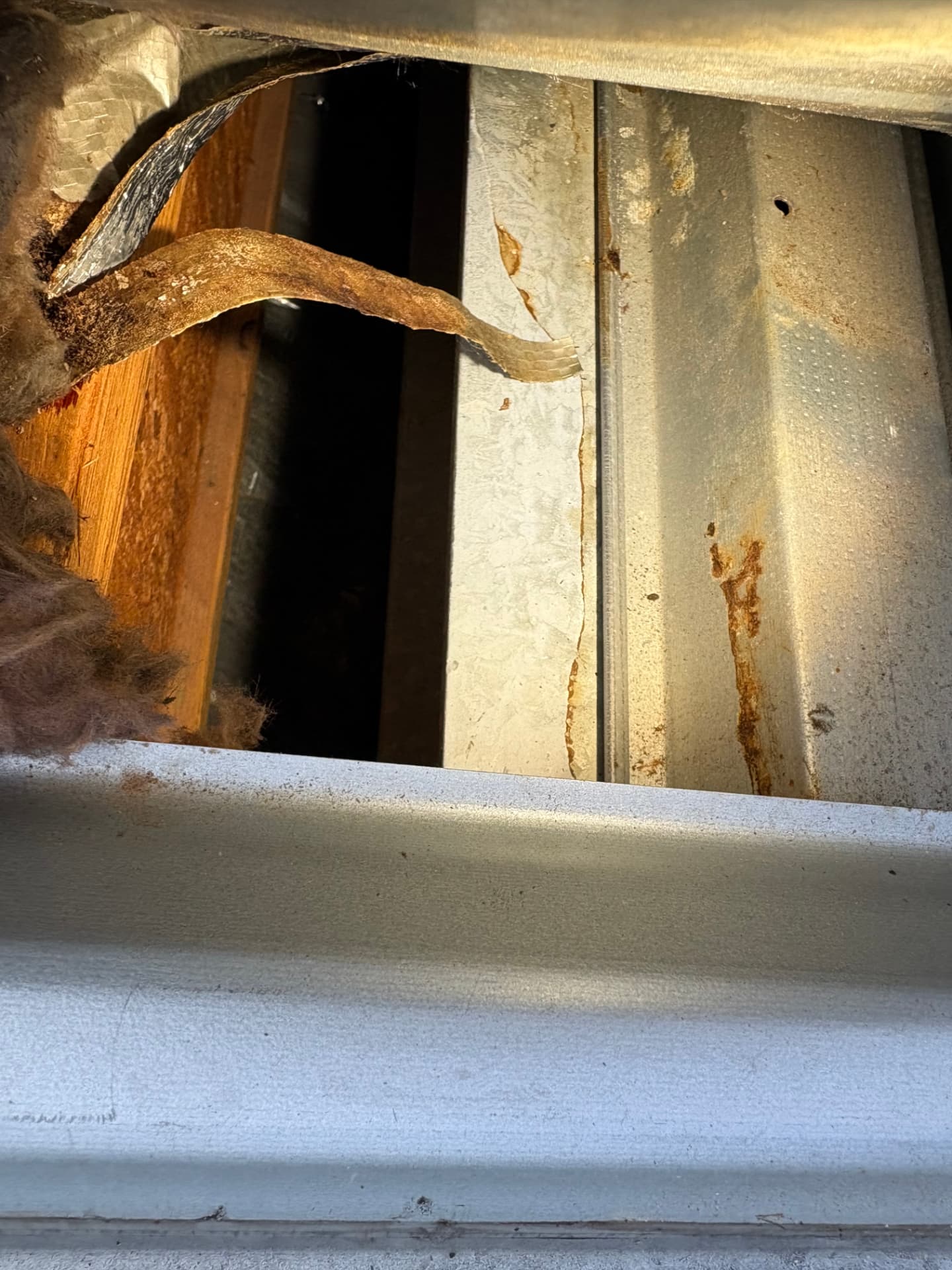View into the roof cavity showing rust staining and damaged sarking